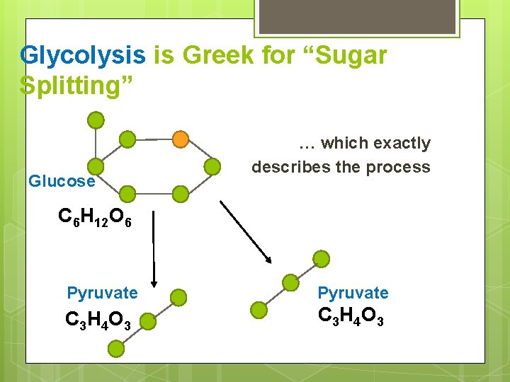 Glycolysis is Greek for “Sugar Splitting” Glucose … which exactly describes the process C