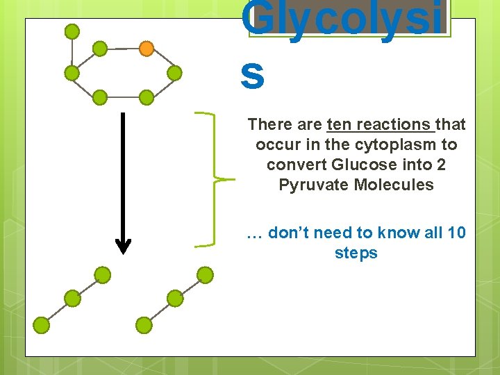 Glycolysi s There are ten reactions that occur in the cytoplasm to convert Glucose