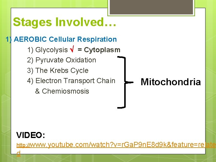 Stages Involved… 1) AEROBIC Cellular Respiration 1) Glycolysis = Cytoplasm 2) Pyruvate Oxidation 3)