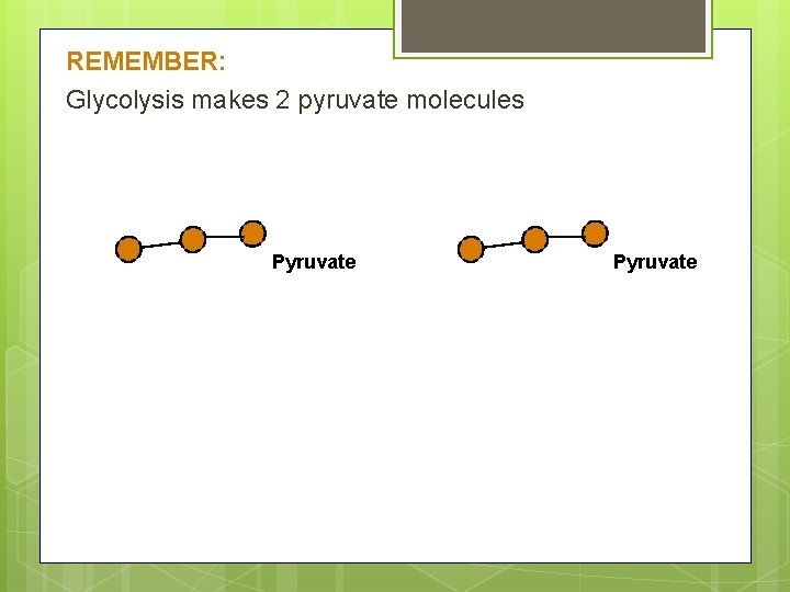 REMEMBER: Glycolysis makes 2 pyruvate molecules Pyruvate 