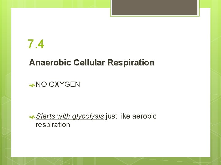 7. 4 Anaerobic Cellular Respiration NO OXYGEN Starts with glycolysis just like aerobic respiration