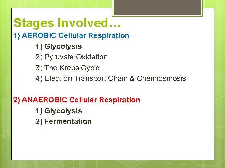 Stages Involved… 1) AEROBIC Cellular Respiration 1) Glycolysis 2) Pyruvate Oxidation 3) The Krebs