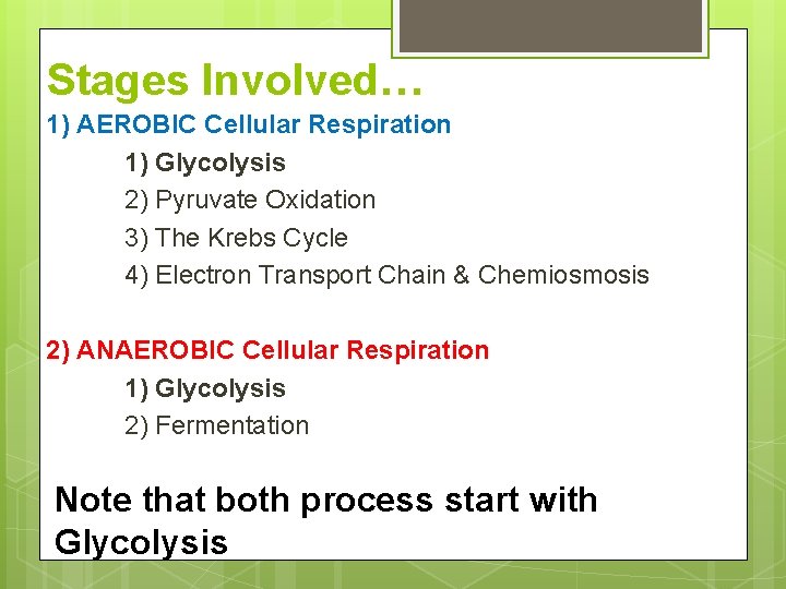 Stages Involved… 1) AEROBIC Cellular Respiration 1) Glycolysis 2) Pyruvate Oxidation 3) The Krebs