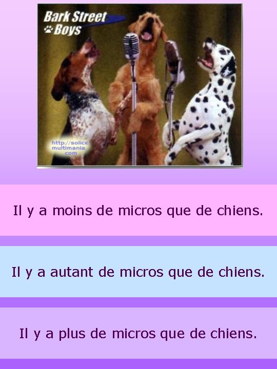 Il y a moins de micros que de chiens. Il y a autant de