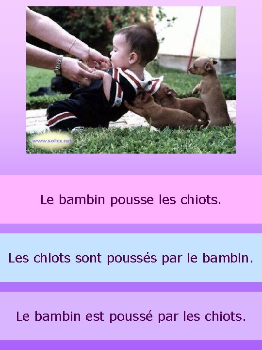 Le bambin pousse les chiots. Les chiots sont poussés par le bambin. Le bambin