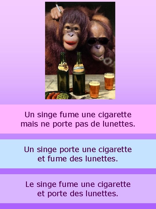 Un singe fume une cigarette mais ne porte pas de lunettes. Un singe porte