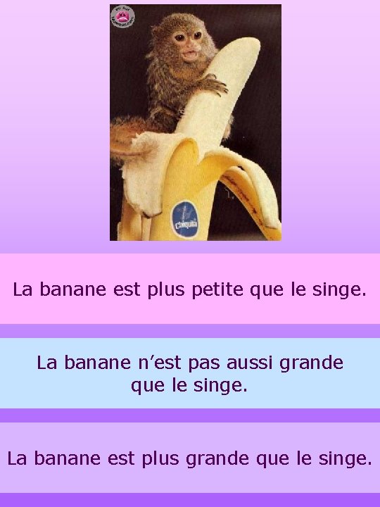 La banane est plus petite que le singe. La banane n’est pas aussi grande