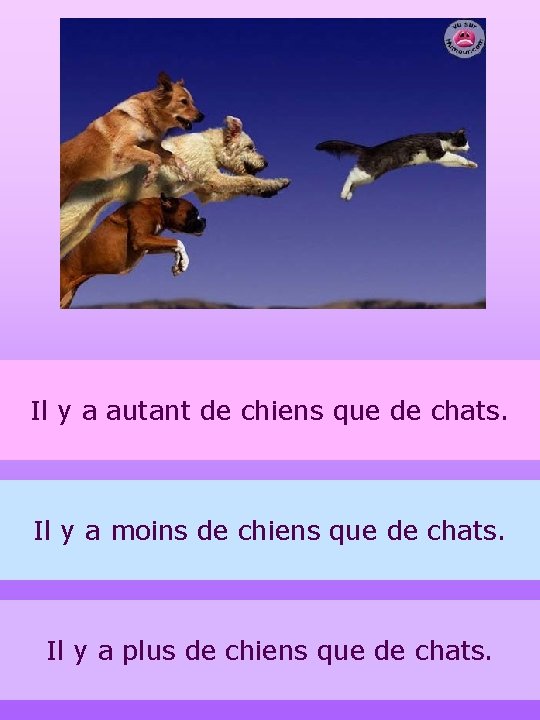 Il y a autant de chiens que de chats. Il y a moins de