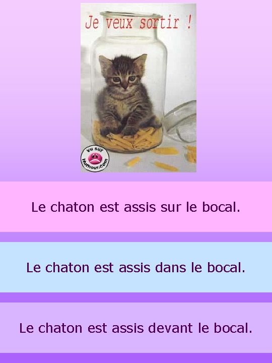 Le chaton est assis sur le bocal. Le chaton est assis dans le bocal.