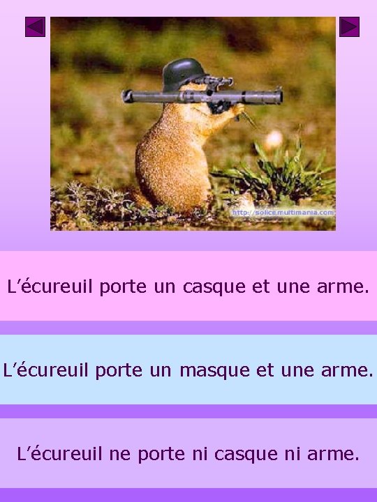 L’écureuil porte un casque et une arme. L’écureuil porte un masque et une arme.