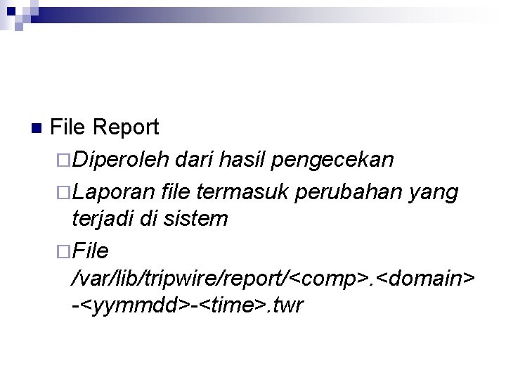 n File Report ¨Diperoleh dari hasil pengecekan ¨Laporan file termasuk perubahan yang terjadi di