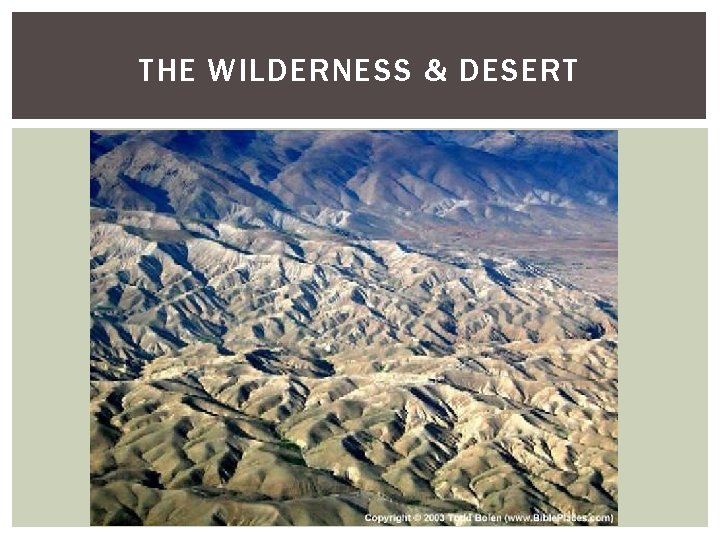 THE WILDERNESS & DESERT 