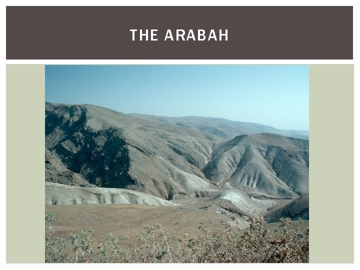 THE ARABAH 