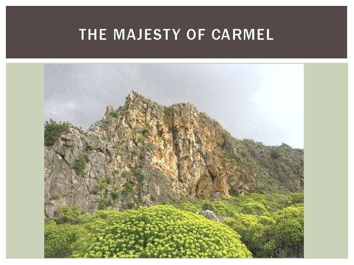 THE MAJESTY OF CARMEL 