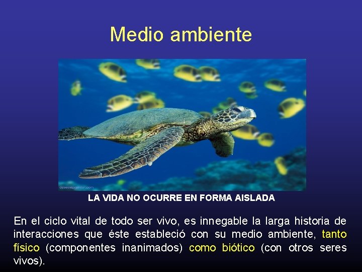 Medio ambiente LA VIDA NO OCURRE EN FORMA AISLADA En el ciclo vital de