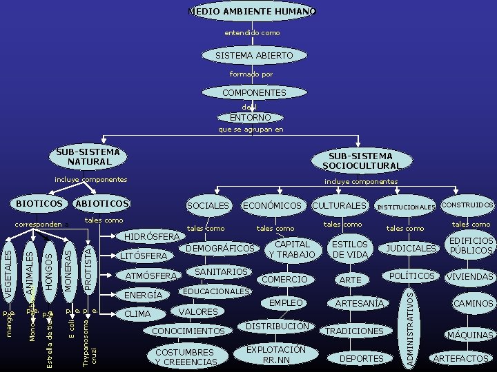 MEDIO AMBIENTE HUMANO entendido como SISTEMA ABIERTO formado por COMPONENTES del l ENTORNO que