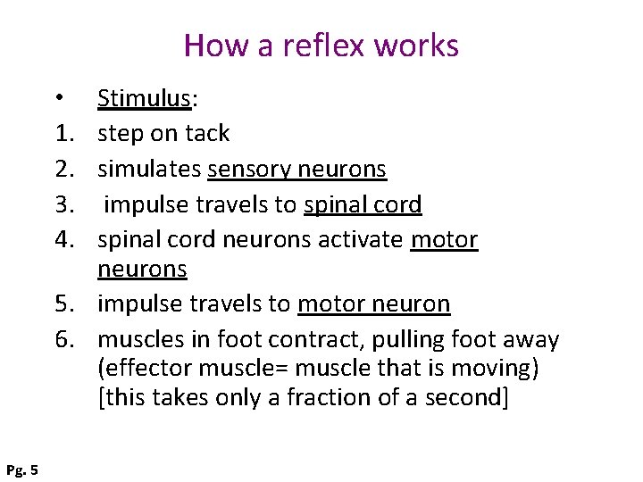How a reflex works Stimulus: step on tack simulates sensory neurons impulse travels to