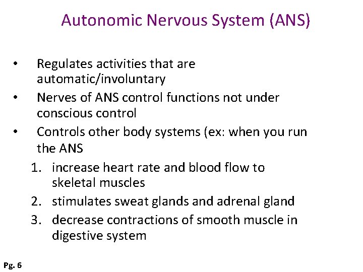 Autonomic Nervous System (ANS) Regulates activities that are automatic/involuntary • Nerves of ANS control