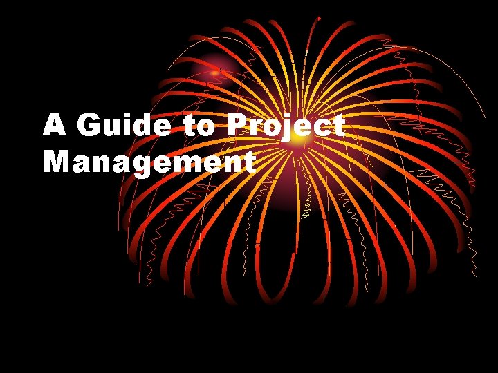 A Guide to Project Management 