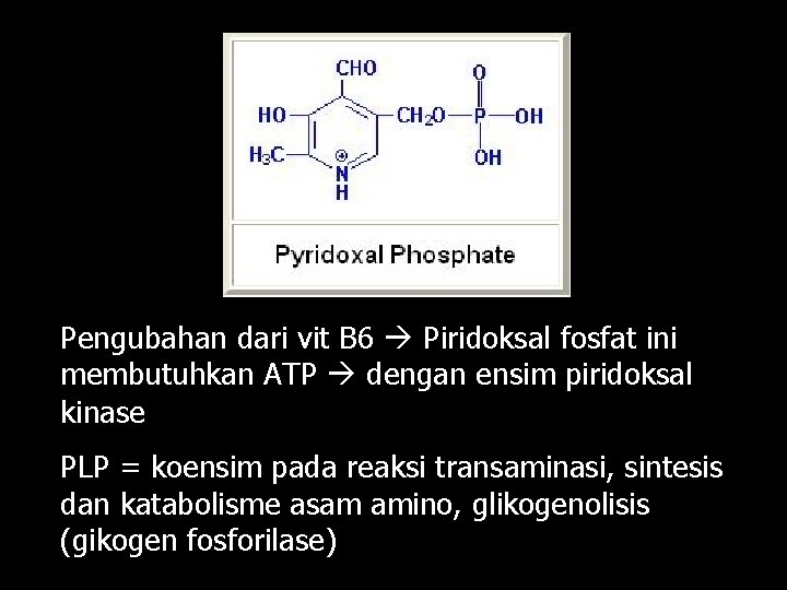 Pengubahan dari vit B 6 Piridoksal fosfat ini membutuhkan ATP dengan ensim piridoksal kinase