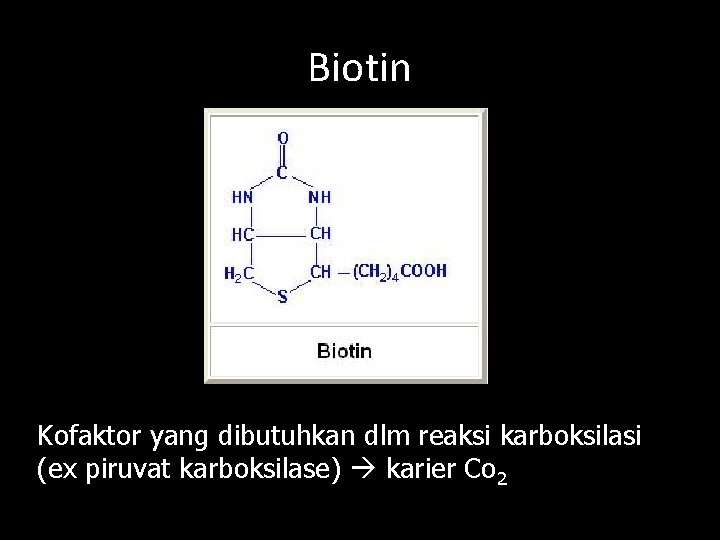 Biotin Kofaktor yang dibutuhkan dlm reaksi karboksilasi (ex piruvat karboksilase) karier Co 2 