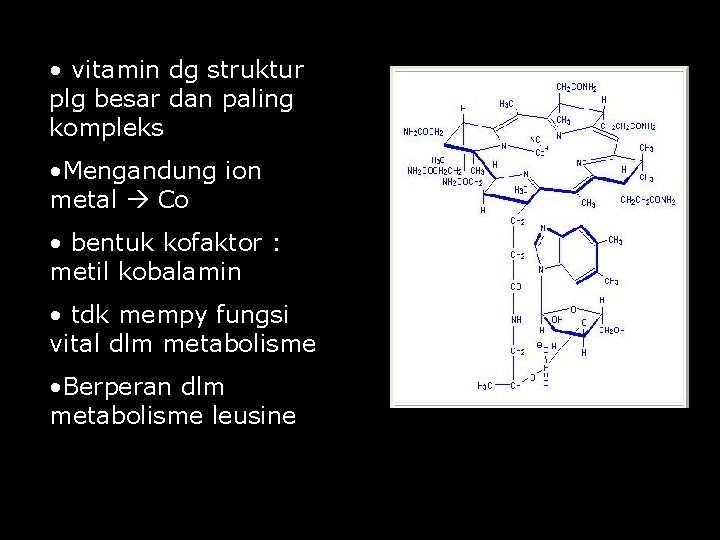  • vitamin dg struktur plg besar dan paling kompleks • Mengandung ion metal