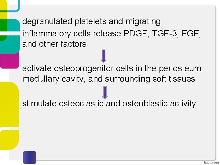 degranulated platelets and migrating inflammatory cells release PDGF, TGF-β, FGF, and other factors activate