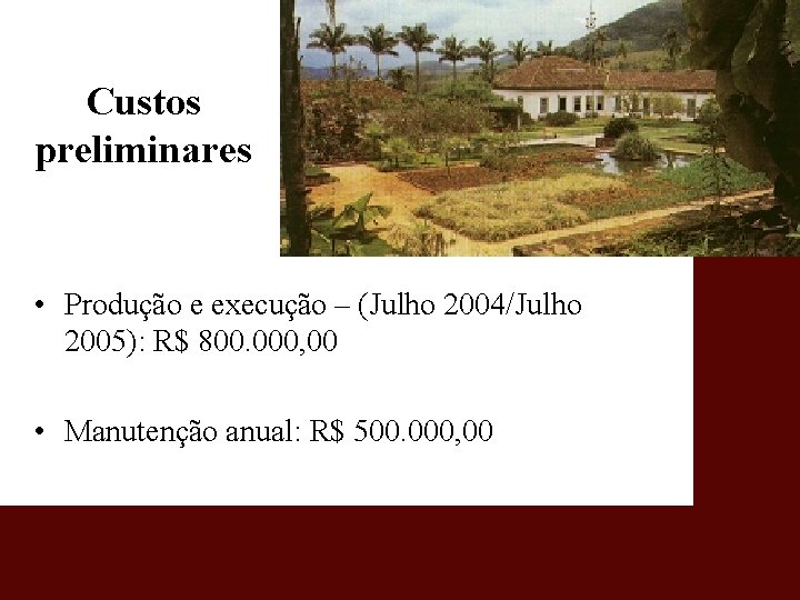 Custos preliminares • Produção e execução – (Julho 2004/Julho 2005): R$ 800. 000, 00