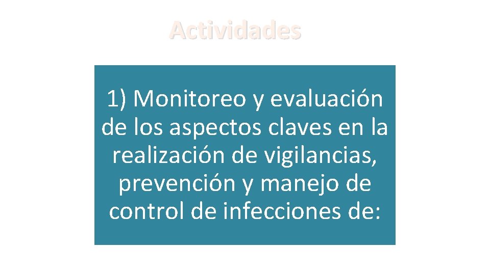 Actividades 1) Monitoreo y evaluación de los aspectos claves en la realización de vigilancias,