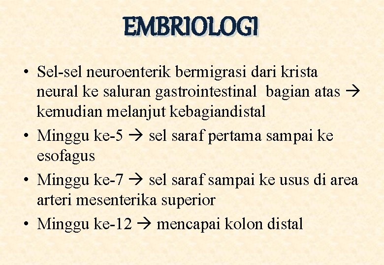 EMBRIOLOGI • Sel-sel neuroenterik bermigrasi dari krista neural ke saluran gastrointestinal bagian atas kemudian