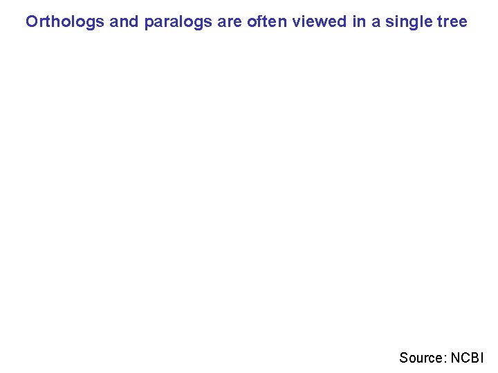 Orthologs and paralogs are often viewed in a single tree Source: NCBI 