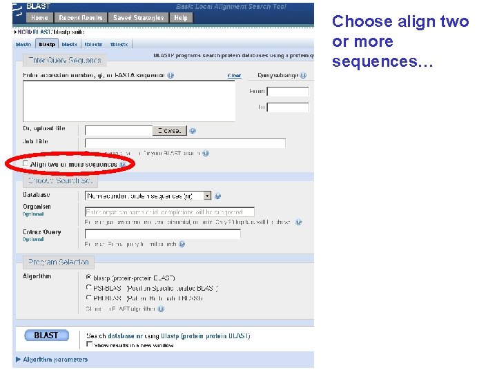 Choose align two or more sequences… 