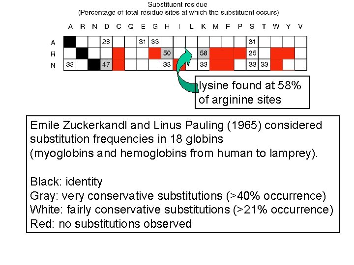 lysine found at 58% of arginine sites Emile Zuckerkandl and Linus Pauling (1965) considered