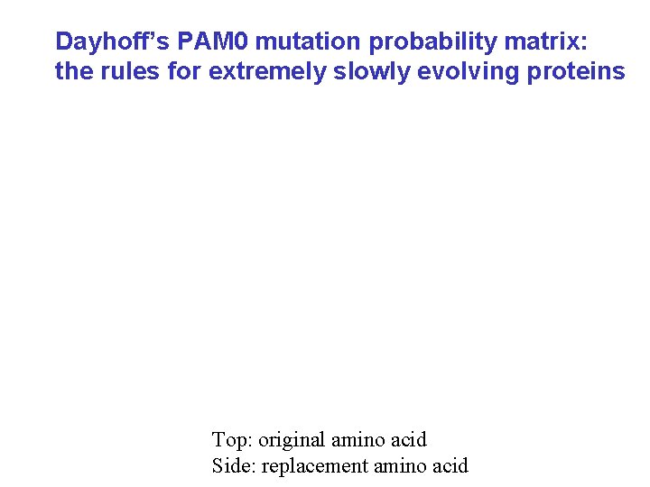Dayhoff’s PAM 0 mutation probability matrix: the rules for extremely slowly evolving proteins Top: