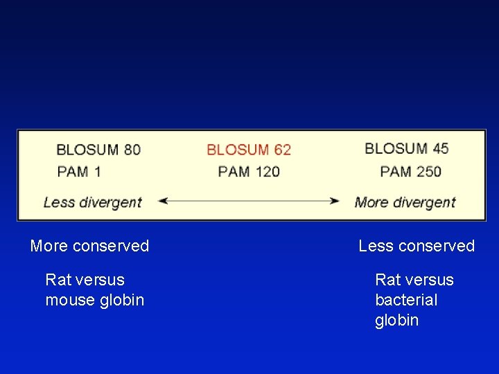 More conserved Rat versus mouse globin Less conserved Rat versus bacterial globin 