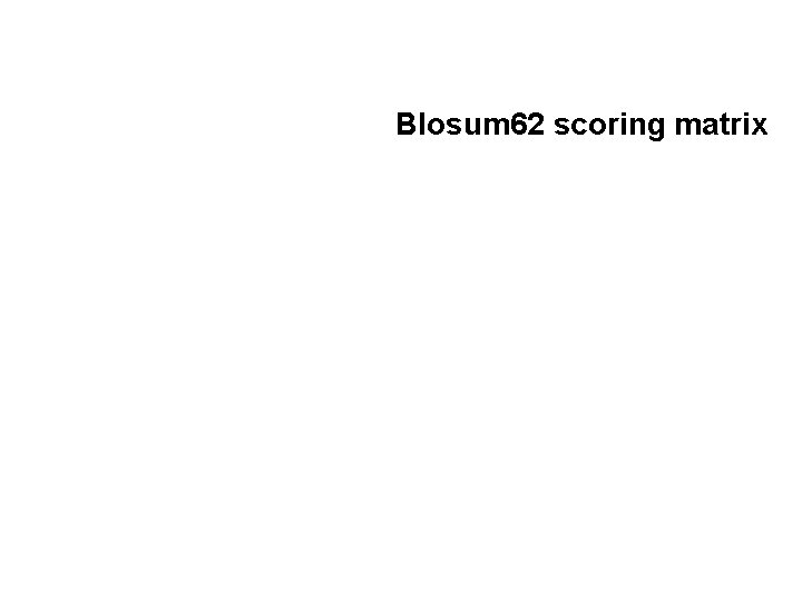 Blosum 62 scoring matrix 