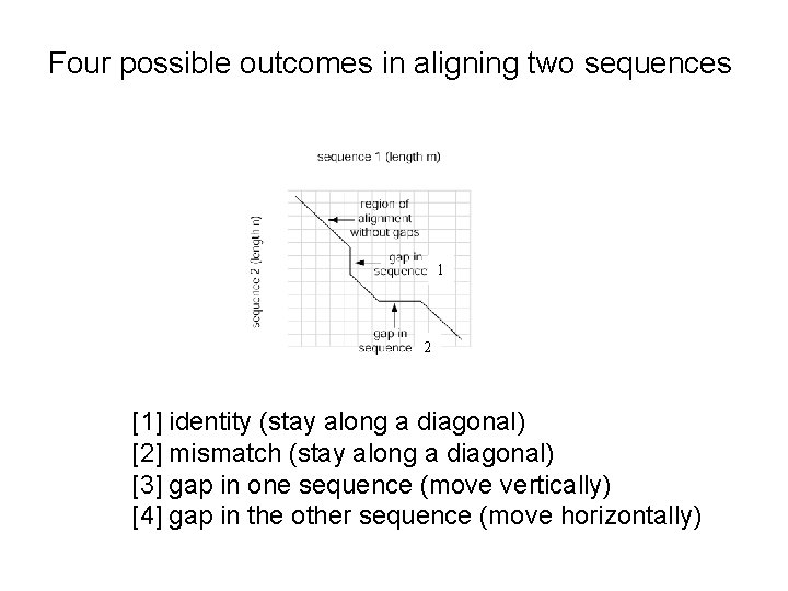 Four possible outcomes in aligning two sequences 1 2 [1] identity (stay along a