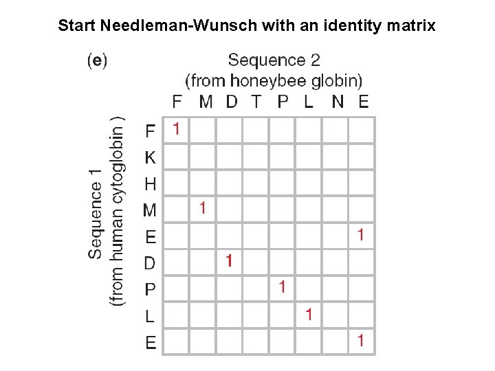 Start Needleman-Wunsch with an identity matrix 
