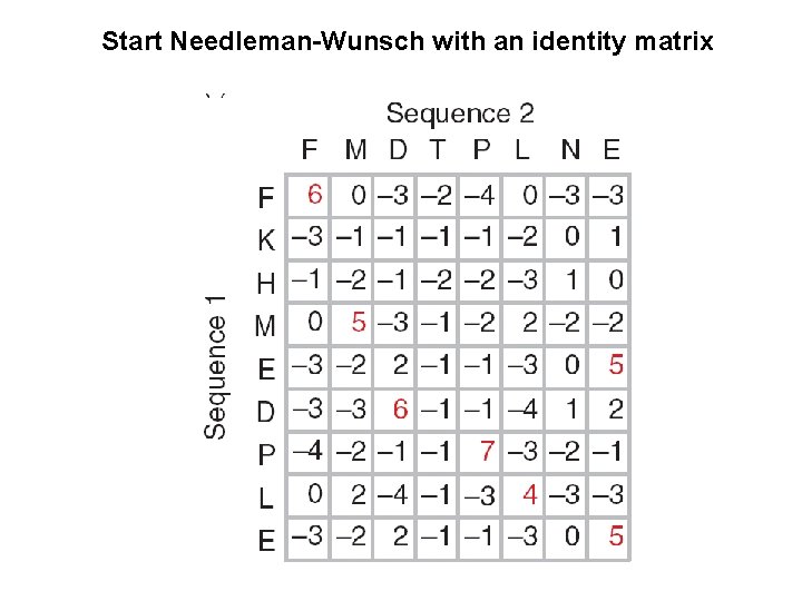 Start Needleman-Wunsch with an identity matrix 