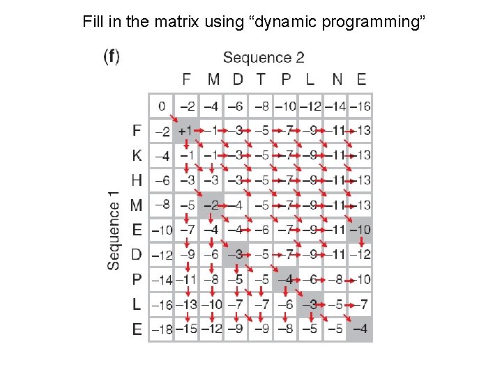 Fill in the matrix using “dynamic programming” 