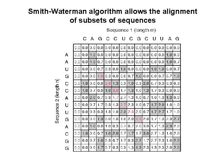 Smith-Waterman algorithm allows the alignment of subsets of sequences 