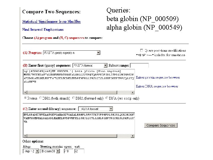 Queries: beta globin (NP_000509) alpha globin (NP_000549) 