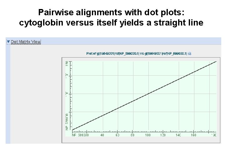 Pairwise alignments with dot plots: cytoglobin versus itself yields a straight line 