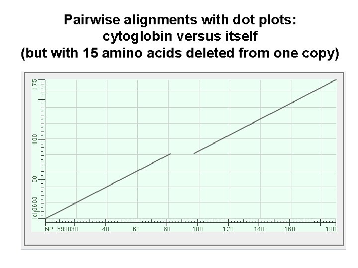 Pairwise alignments with dot plots: cytoglobin versus itself (but with 15 amino acids deleted