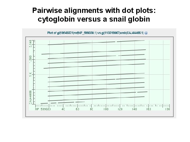 Pairwise alignments with dot plots: cytoglobin versus a snail globin 