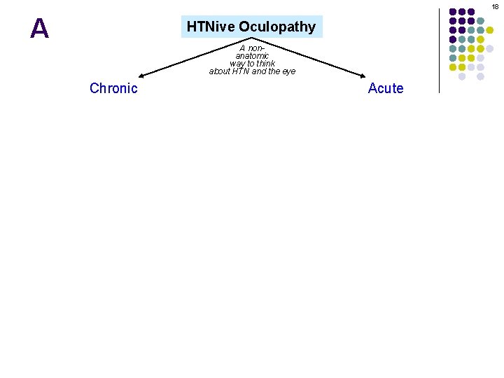 18 A HTNive Oculopathy A nonanatomic way to think about HTN and the eye