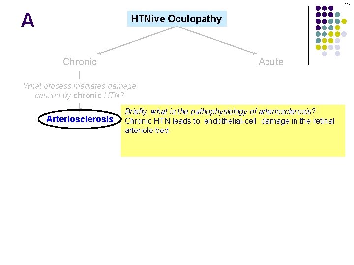 23 A HTNive Oculopathy Chronic Acute What process mediates damage caused by chronic HTN?