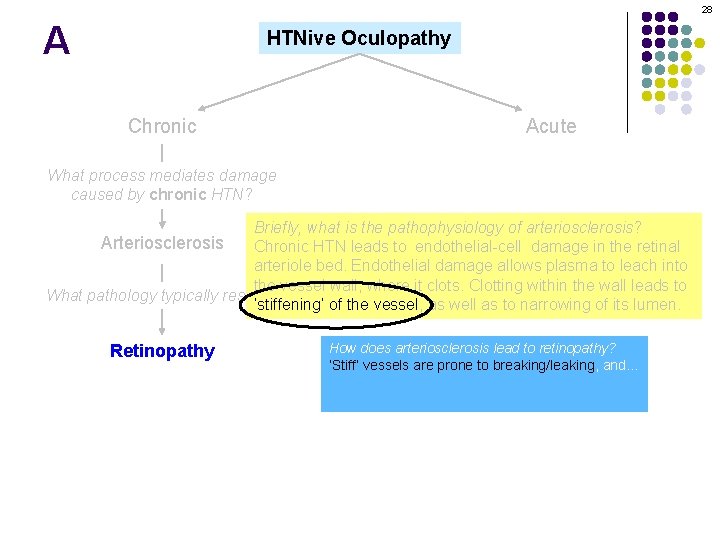 28 A HTNive Oculopathy Chronic Acute What process mediates damage caused by chronic HTN?