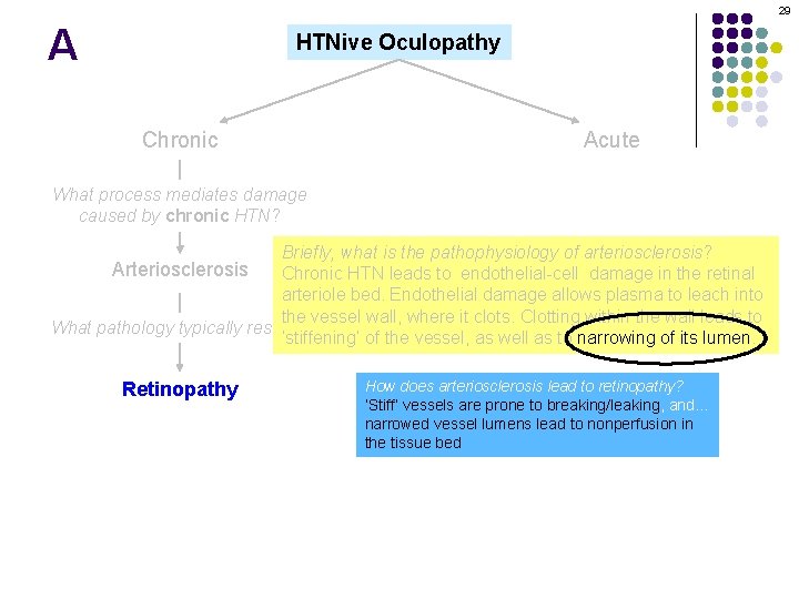 29 A HTNive Oculopathy Chronic Acute What process mediates damage caused by chronic HTN?