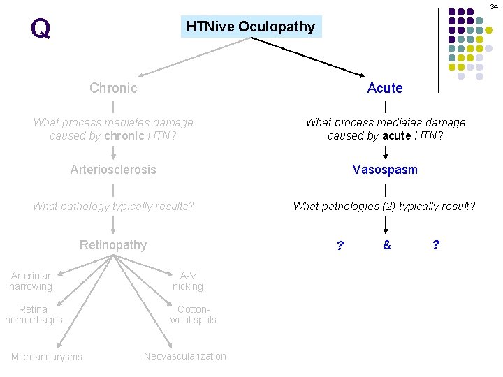 34 Q HTNive Oculopathy Chronic Acute What process mediates damage caused by chronic HTN?